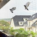 Mr. Right Pigeon Net for Balconies, Bird Control, Anti Bird and Monkey Heavy Duty HDPE Mesh Net for Balconies (10x20ft), Installation Kit Included
